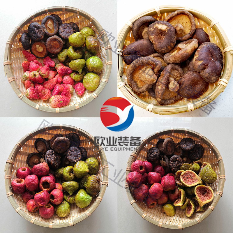 什錦果蔬脆低溫脫水機